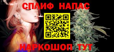 ECSTASY Бердск
