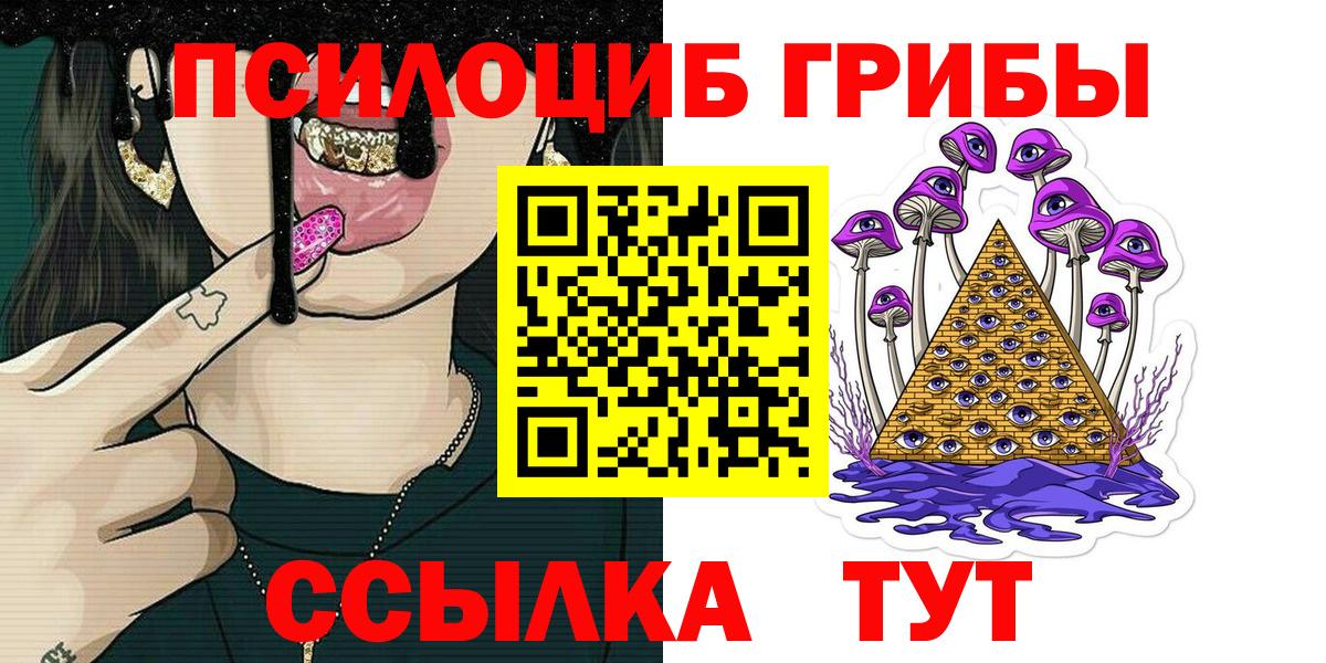 Верхняя Пышма  что такое   Вход с VPN  Галлюциногенные грибы Psilocybe 